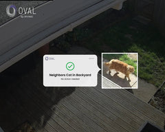 How AI Doorbells Reduce False Security Alerts?